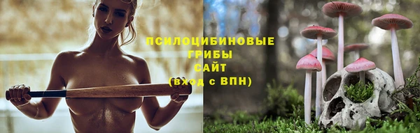сатива Беломорск