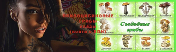 дживик Балахна