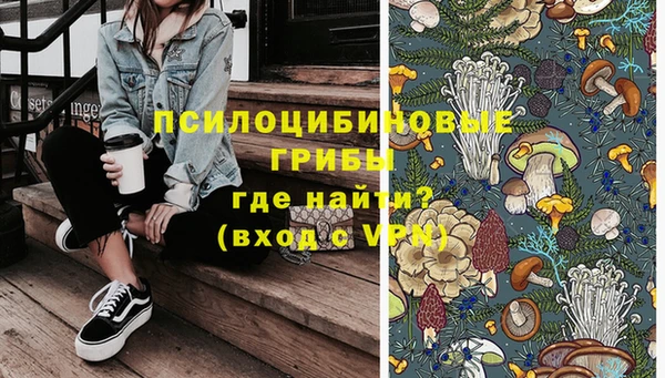 сатива Беломорск