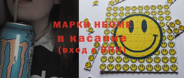 сатива Беломорск