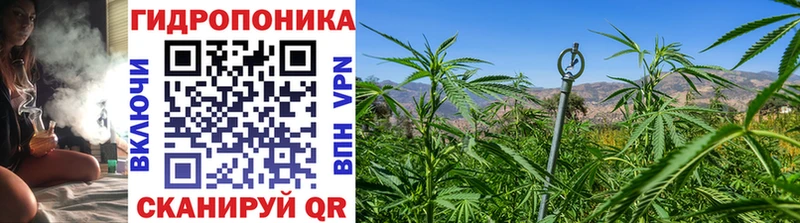 Каннабис индика  Рыбинск 